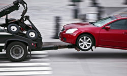 Living in the rat race?