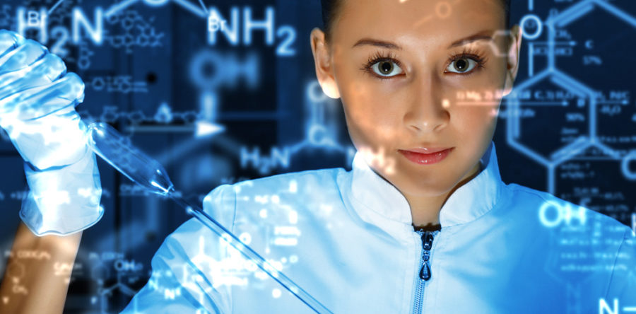 Sed blandit massa vel