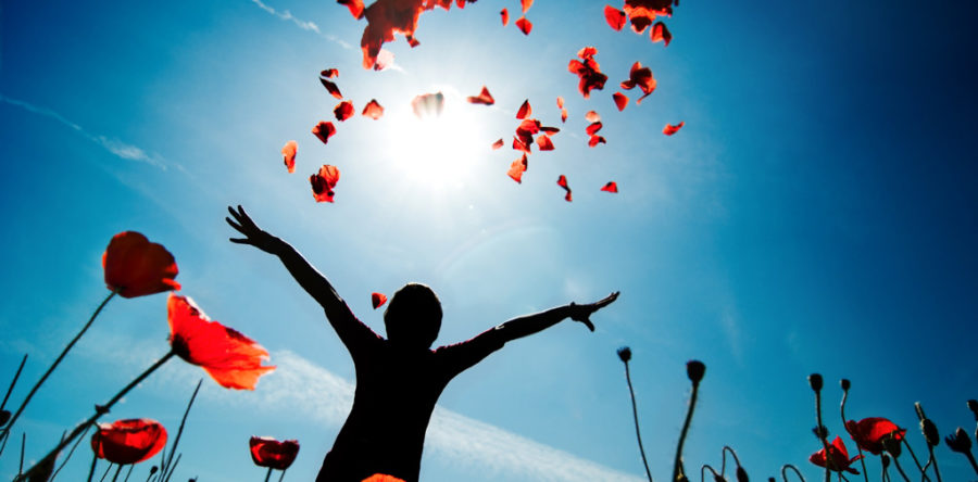 Festival, circus, fireworks and state fairs.