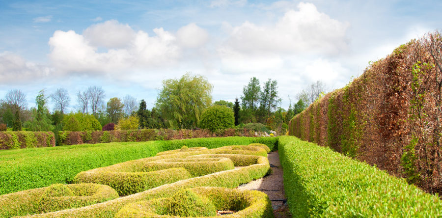 Want to go to the park?